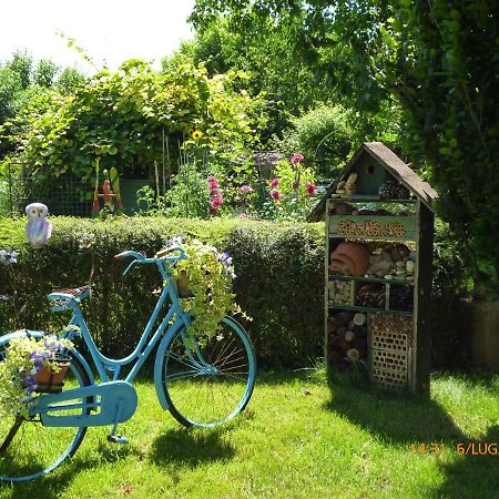 Bed & Bike Belfiore มอนตังญานา ภายนอก รูปภาพ